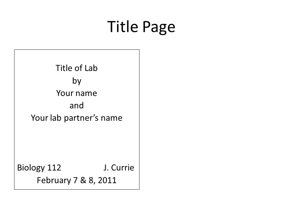How to make a lab report